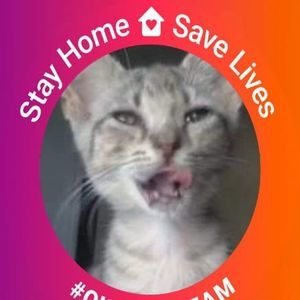 Meet your Posher, Bobby